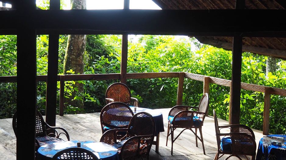 Our restaurant under the Baobab tree